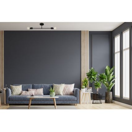 Felületre szerelhető csillár CAMBRIDGE 2xE27/15W/230V fekete