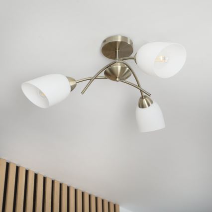 Felületre szerelhető csillár DONNA 3xE27/60W/230V patina