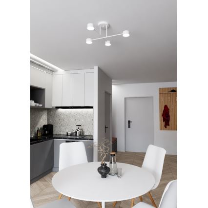 Felületre szerelhető csillár  HALO 4xGX53/10W/230V fehér