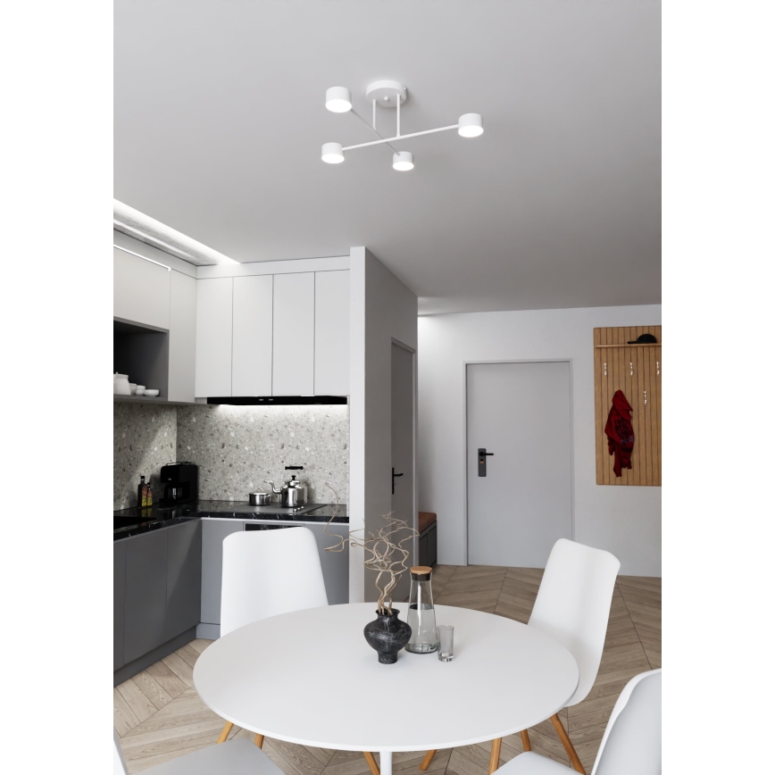 Felületre szerelhető csillár  HALO 4xGX53/10W/230V fehér