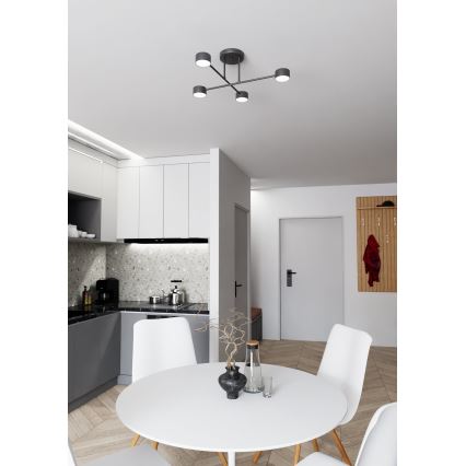 Felületre szerelhető csillár  HALO 4xGX53/10W/230V fekete