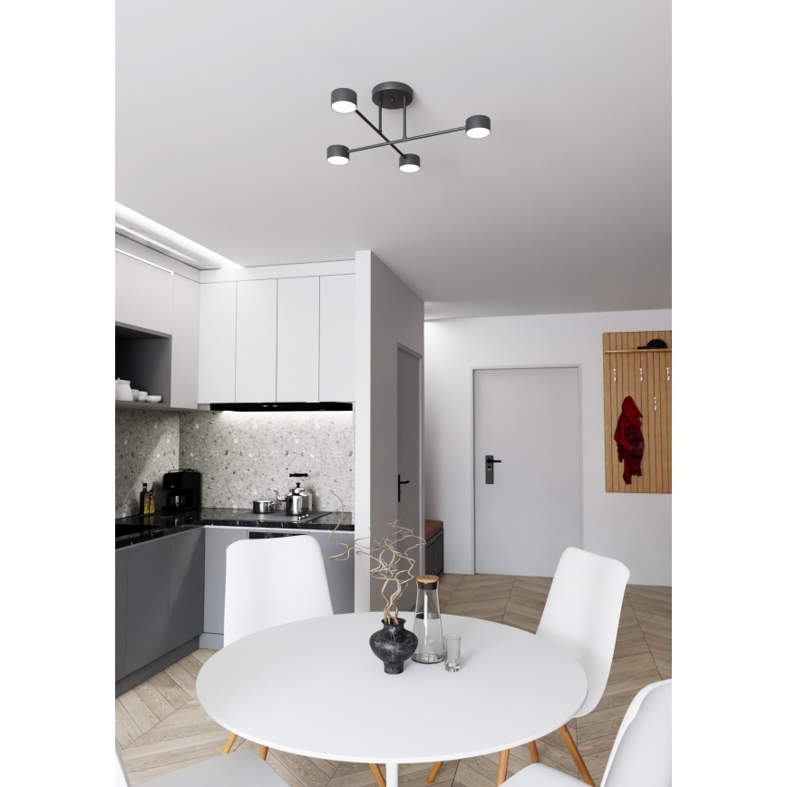 Felületre szerelhető csillár  HALO 4xGX53/10W/230V fekete