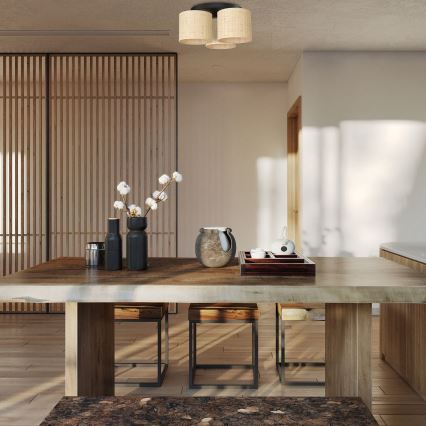 Felületre szerelhető csillár RATTAN 3xE27/60W/230V rattan