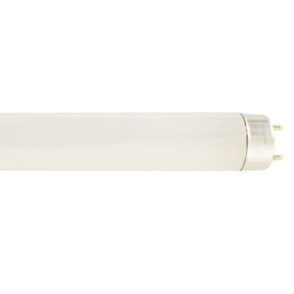 Fénycső G13/18W/230V 6000K