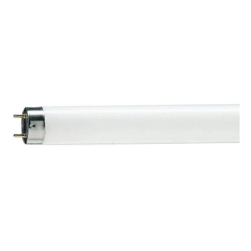 Fénycső T8 G13/58W/110V 4000K