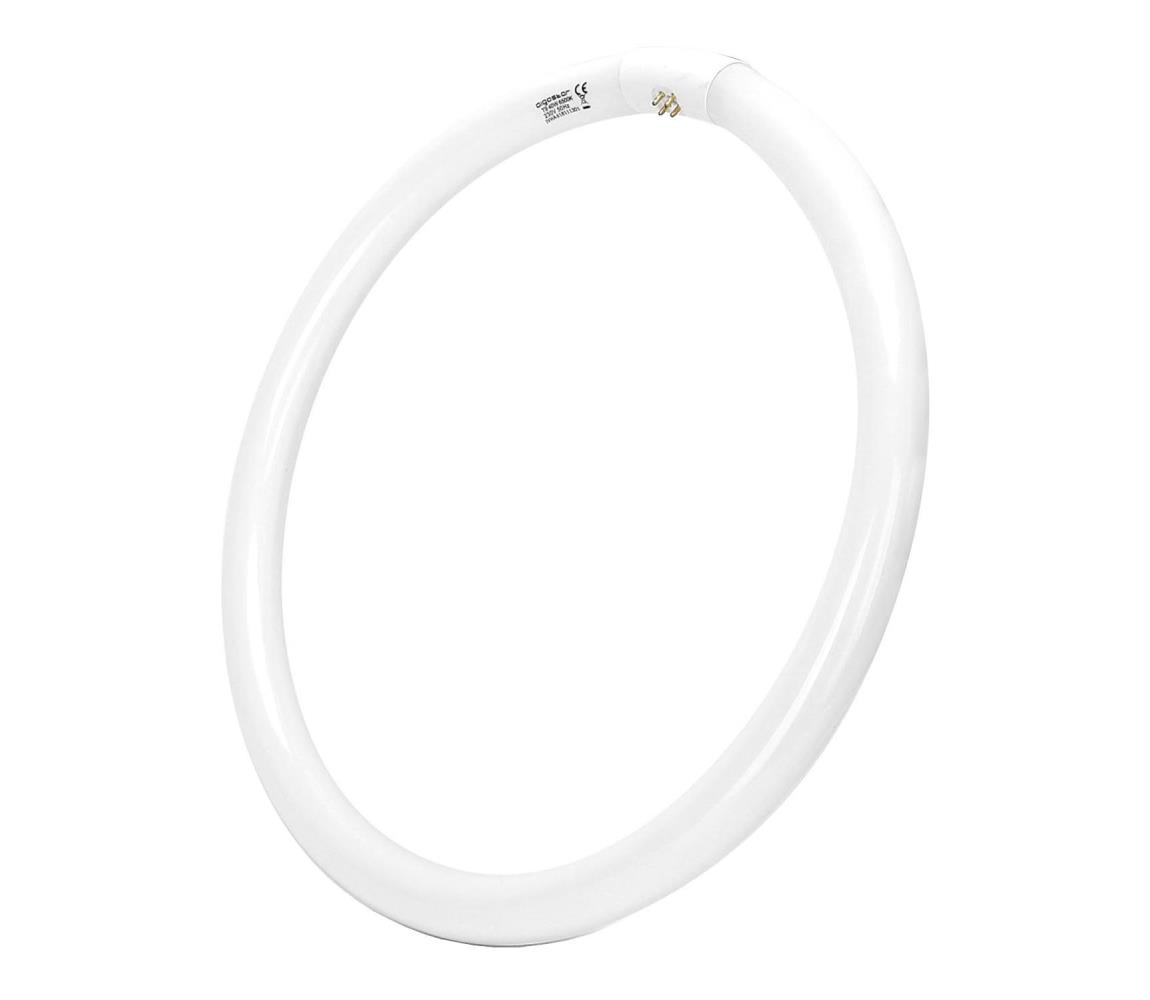 B.V. Fénycső T9 G10q/40W/230V 6500K