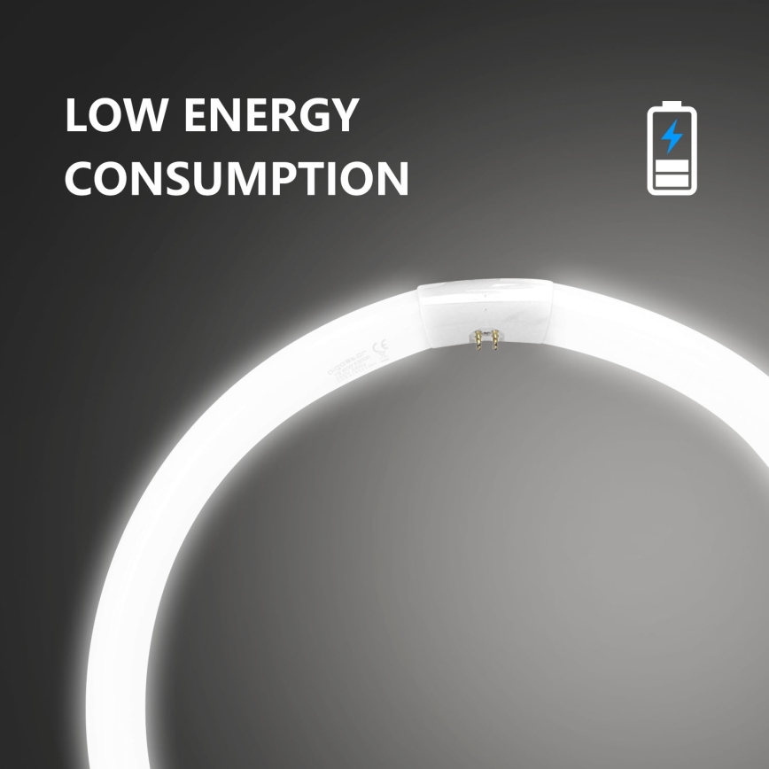 Fénycső T9 G10q/40W/230V 6500K - Aigostar