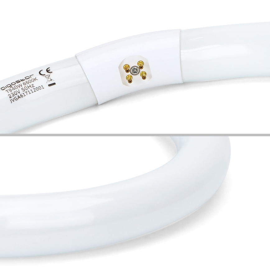 Fénycső T9 G10q/40W/230V 6500K - Aigostar