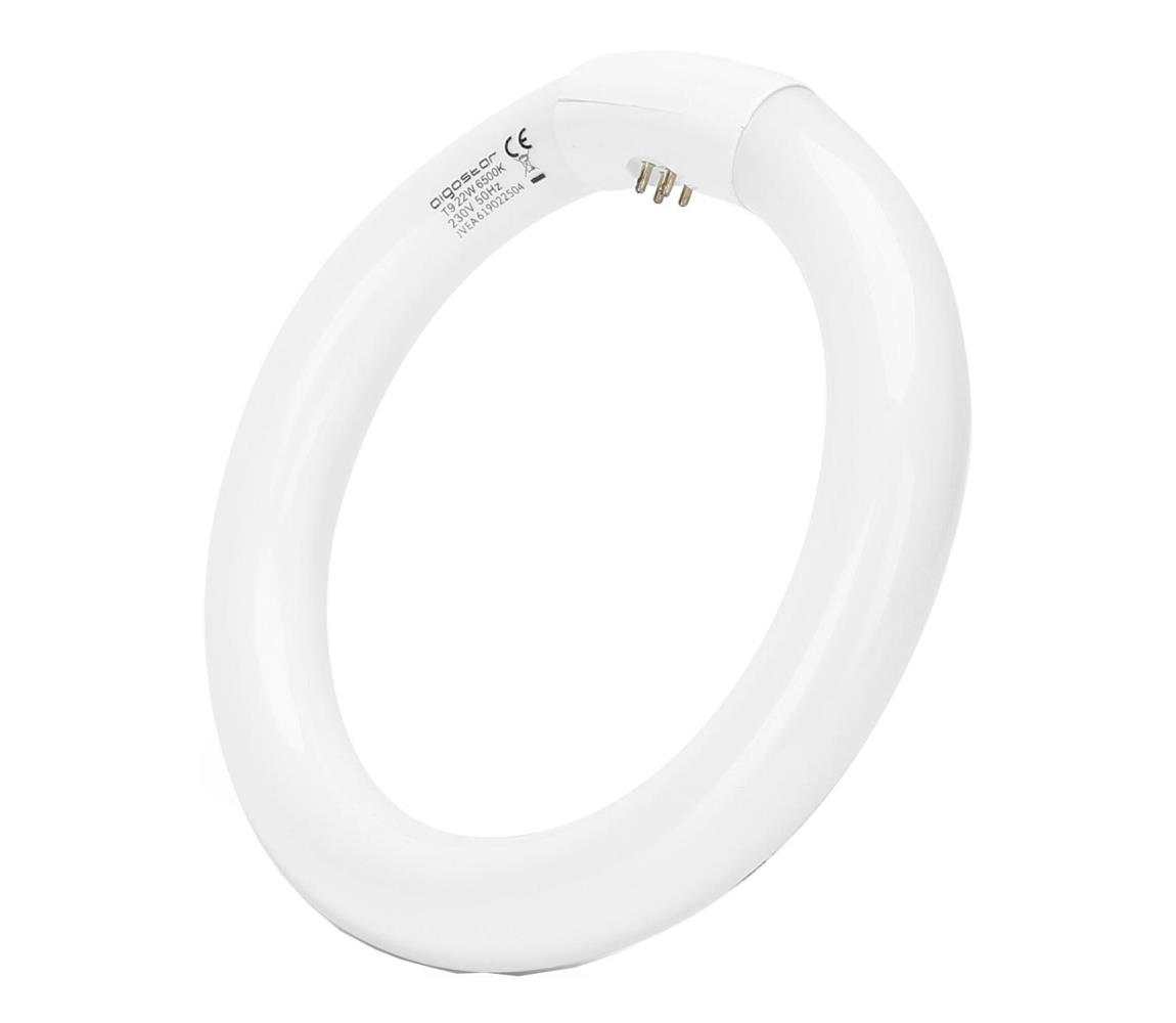 B.V. Fénycső T9 G24q