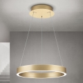 Fényerőszabályozható LED csillár kábelen KOLK LED/40W/230V 2700/3000/4000K átm. 40 cm arany