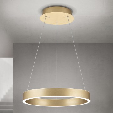 Fényerőszabályozható LED csillár kábelen KOLK LED/40W/230V 2700/3000/4000K átm. 40 cm arany