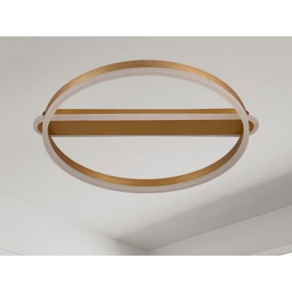 Fényerőszabályozható LED mennyezeti lámpa LED/60W/230V 3000-6500K + távirányító