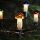 Fényfüzér TOADSTOOL 12xE10 10,7m meleg fehér, Csehországban gyártva