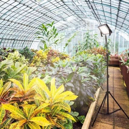 LED reflektor állvánnyal növénytermesztéshez FIRON LED/45W/230V IP54 fekete