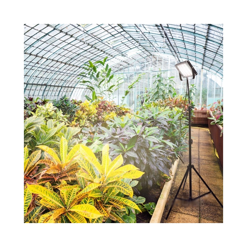 LED reflektor állvánnyal növénytermesztéshez FIRON LED/45W/230V IP54 fekete