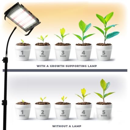 LED reflektor állvánnyal növénytermesztéshez FIRON LED/45W/230V IP54 fekete