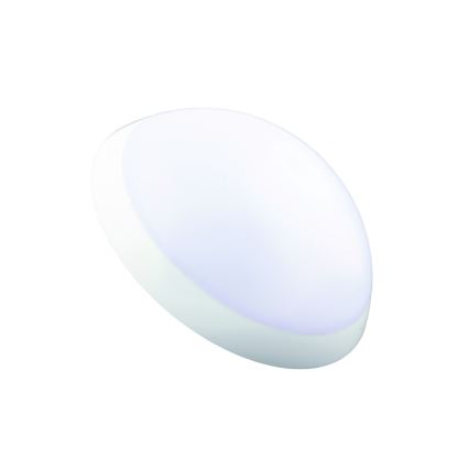 Fulgur 20994 - Műszaki mennyezeti lámpa ROMANA 1xE27/100W/230V IP64