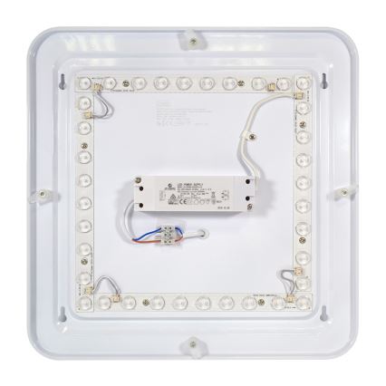 Fulgur 24313 - LED Mennyezeti lámpa PAVLA STARS LED/36W/230V 2700K