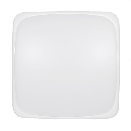 Fulgur 28857 - LED Mennyezeti lámpa ROSA LED/24W/230V 4000K