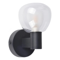 Fürdőszobai fali lámpatest POLA 1xG9/5W/230V IP44 fekete/átlátszó