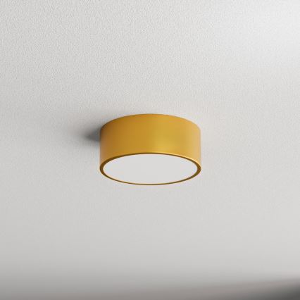 Fürdőszobai mennyezeti lámpa CLEO 1xE27/24W/230V átm. 20 cm arany IP54