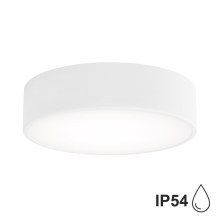 Fürdőszobai mennyezeti lámpa CLEO 2xE27/24W/230V á. 30 cm fehér IP54