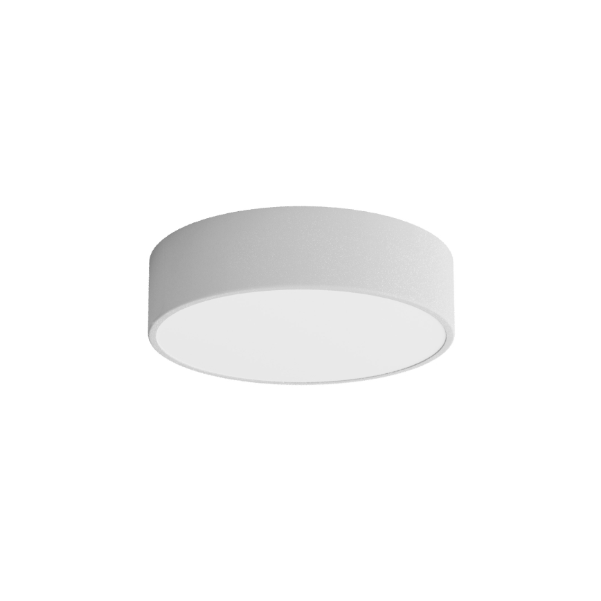Fürdőszobai mennyezeti lámpa CLEO 2xE27/24W/230V á. 30 cm szürke IP54
