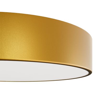 Fürdőszobai mennyezeti lámpatest CLEO érzékelővel 2xE27/24W/230V, átmérő 30 cm, aranyszínű, IP54