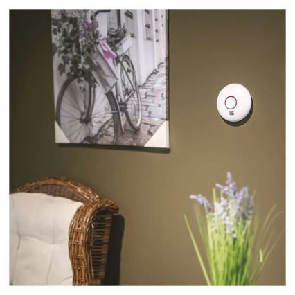 Füstérzékelő 2×AA