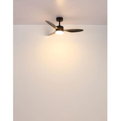 Globo - LED dimmelhető mennyezeti ventilátor LED/20W/230V 2700-6500K + távirányító