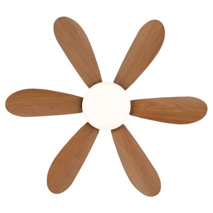 Globo - LED dimmelhető mennyezeti ventilátor LED/5W/230V 2700-6500K barna + távirányító