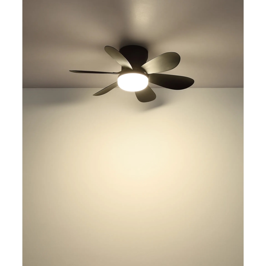 Globo - LED dimmelhető mennyezeti ventilátor LED/5W/230V 2700-6500K fekete + távirányítóval
