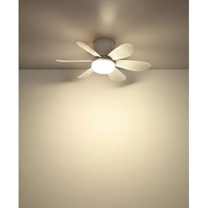 Globo - LED fényerőszabályozható mennyezeti ventilátor LED/5W/230V 2700-6500K fehér + távirányító