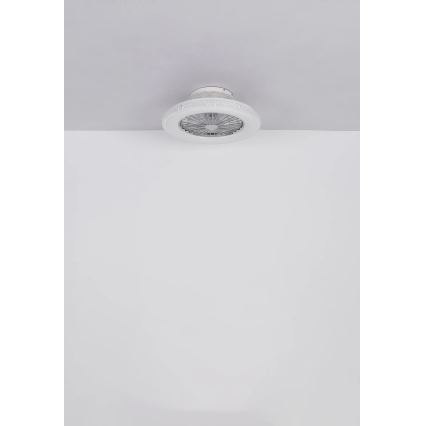 Globo - LED Dimmelhető mennyezeti ventilátor LED/40W/230V 3000-6500K + távirányítás