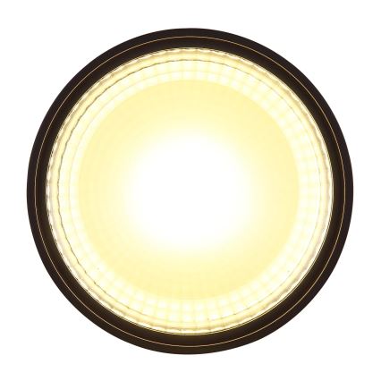 Globo - LED Mennyezeti lámpa LED/12W/230V 3000K