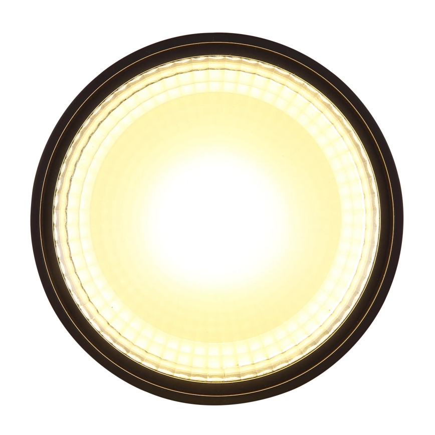 Globo - LED Mennyezeti lámpa LED/12W/230V 3000K