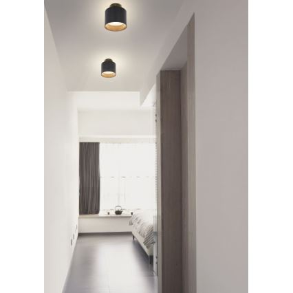 Globo- LED Mennyezeti lámpa LED/8W/230V + LED/4W/230V