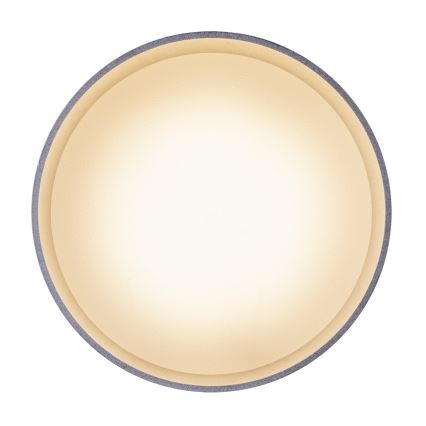 Globo - LED mennyezeti lámpa LED/8W/230V + LED/4W/230V