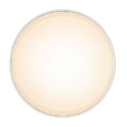Globo 12015W - LED Mennyezeti lámpa JENNY LED/8W/230V