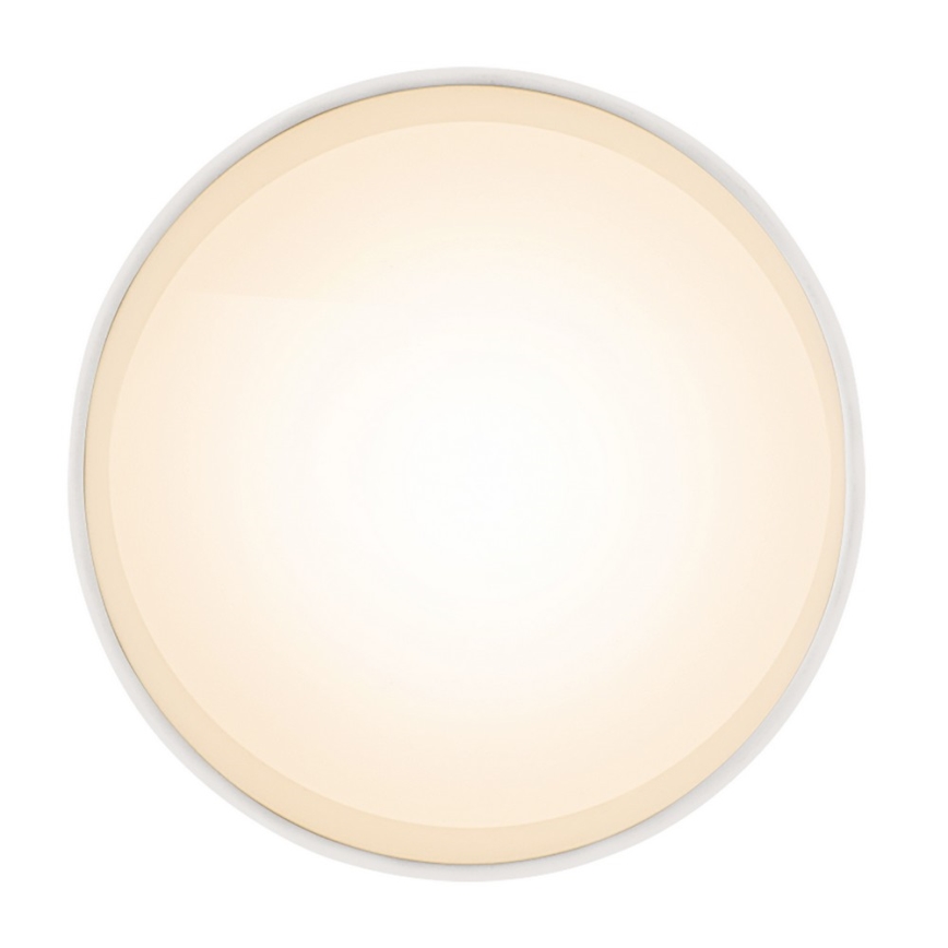 Globo 12015W - LED Mennyezeti lámpa JENNY LED/8W/230V