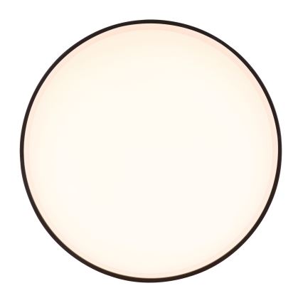 Globo- LED Mennyezeti lámpa JENNY LED/16W/230V
