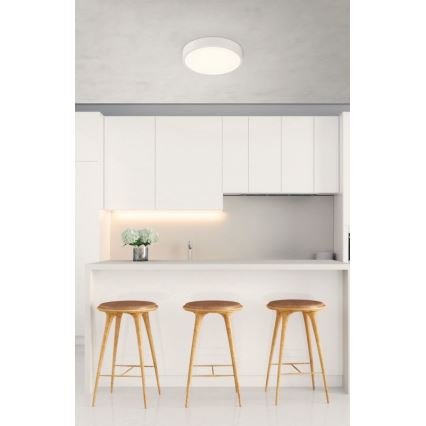 Globo - LED dimmelhető mennyezeti lámpa LED/22W/230V