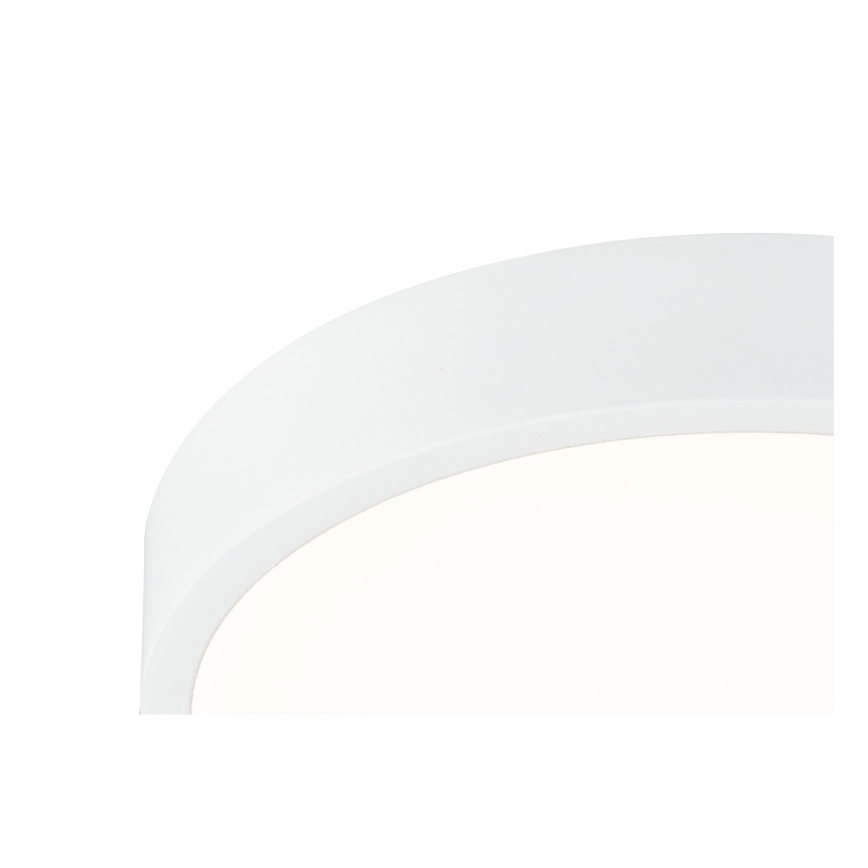 Globo - LED dimmelhető mennyezeti lámpa LED/22W/230V