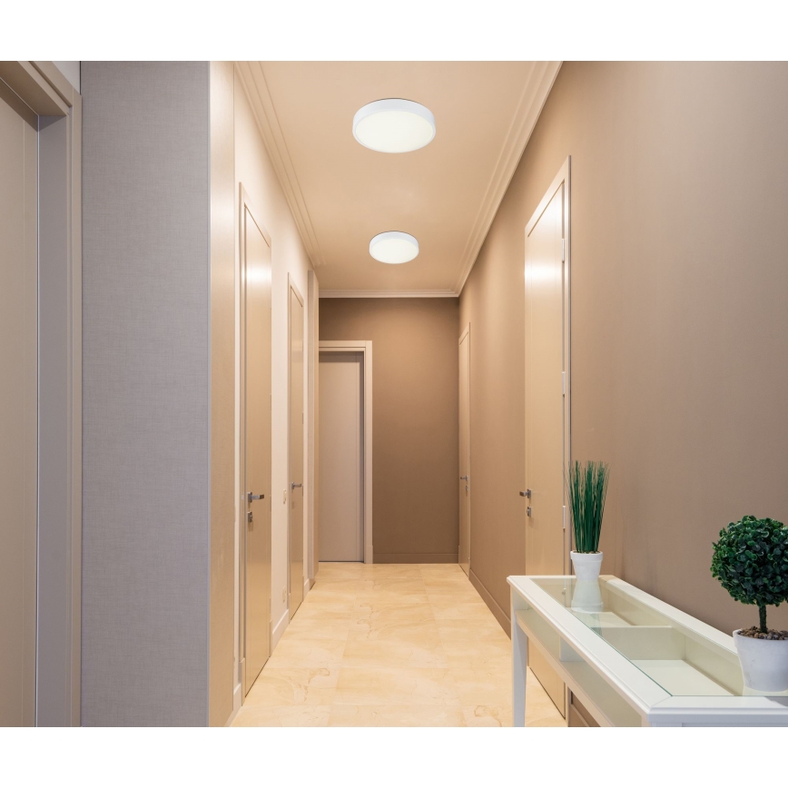 Globo - LED dimmelhető mennyezeti lámpa LED/28W/230V