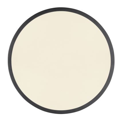 Globo - LED dimmelhető mennyezeti lámpa LED/22W/230V