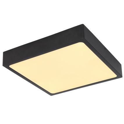 Globo - LED Mennyezeti lámpa LED/22W/230V