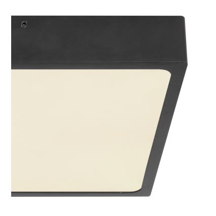 Globo - LED Mennyezeti lámpa LED/22W/230V