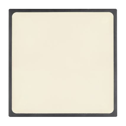 Globo - LED Mennyezeti lámpa LED/28W/230V