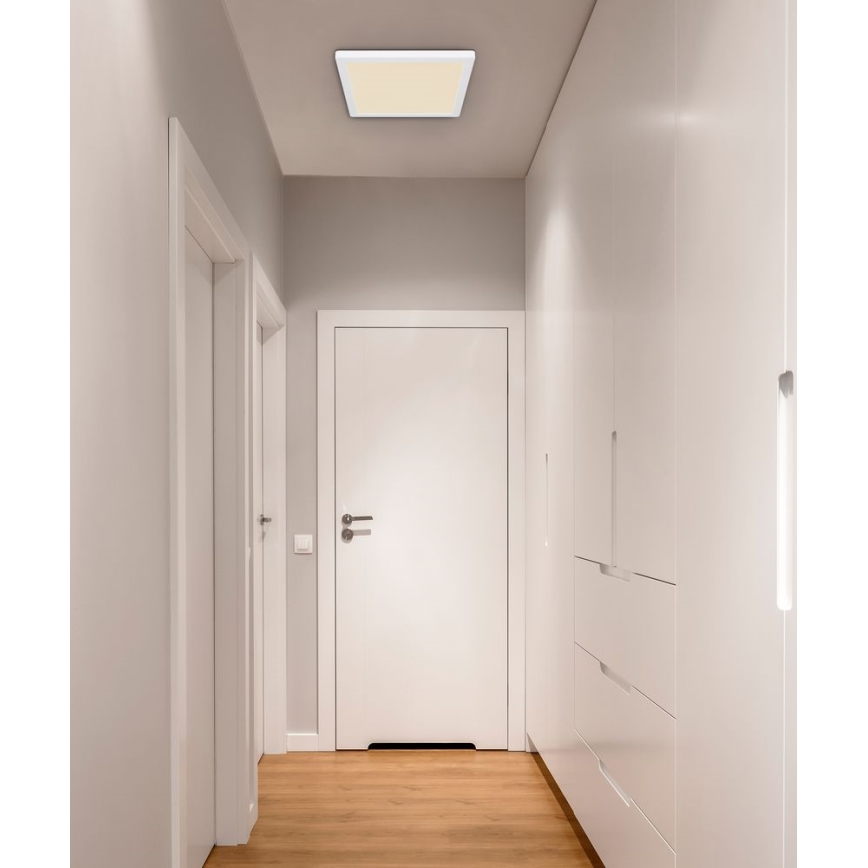 Globo - LED Mennyezeti lámpa LED/24W/230V 3000/4000/6500K fehér