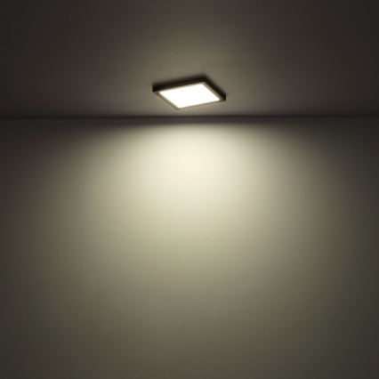 Globo - LED Mennyezeti lámpa LED/24W/230V 3000/4000/6500K fehér